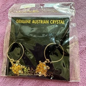 Turtle Hoop Earrings